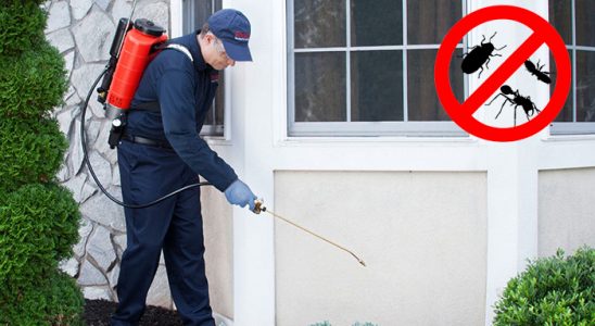 Erenler Dezenfeksiyon böcek ilaçlama ve haşere kontrolü — ilaclama-tr.com